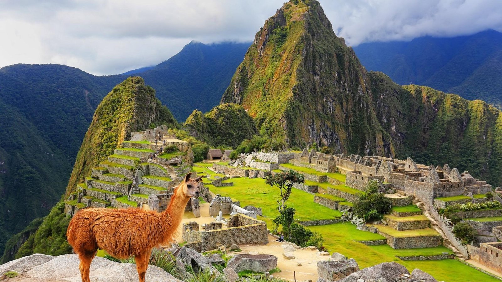 Machu Picchu